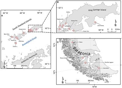 Genetic Structure and Gene Flow of Moss Sanionia uncinata (Hedw.) Loeske in Maritime Antarctica and Southern-<mark class="highlighted">Patagonia</mark>
